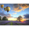 Air Balloons Over Lavender Field - DIY Painting By Numbers Kit