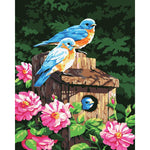 Bird House - DIY Painting By Numbers Kit