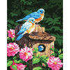 Two Blue Birds - DIY Painting By Numbers Kits