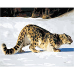 Leopard Art - DIY Painting By Numbers Kit