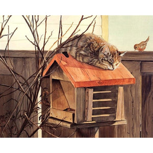 Cat On A Bird House - DIY Painting By Numbers Kit