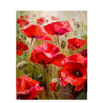 Red Tulip Flowers - DIY Painting By Numbers Kit