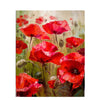 Red Tulip Flowers - DIY Painting By Numbers Kit