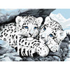 White Leopards - DIY Painting By Numbers Kit