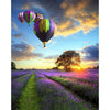 Air Balloons Over Lavender Field - DIY Painting By Numbers Kit