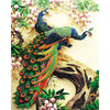 Botswana Peacocks - DIY Painting By Numbers Kit