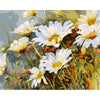 Daisy Flowers - DIY Painting By Numbers Kit