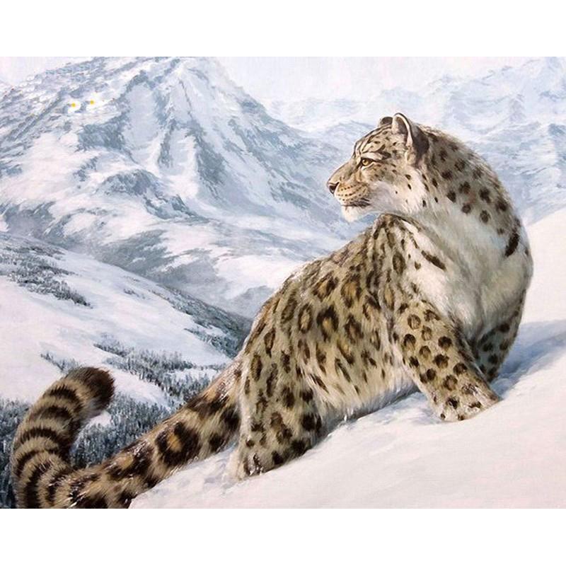 A Snow Cheetah - DIY Painting By Numbers Kit