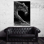 Black and white Leopard