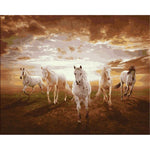 White Horses - DIY Painting By Numbers Kit