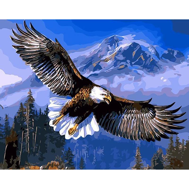 Flying Eagle - DIY Painting By Numbers Kit