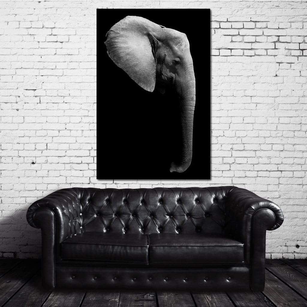 Black and White Elephant Head