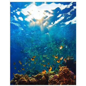 Underwater World - DIY Painting By Numbers Kit