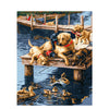 Dogs And Ducks - DIY Painting By Numbers Kit