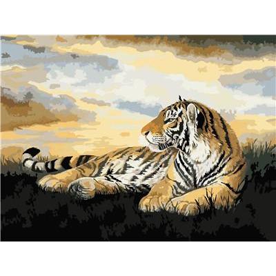 Tiger's Reminiscence - DIY Painting By Numbers Kit