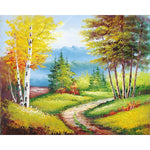 Beautiful Forest Path - DIY Painting By Numbers Kit