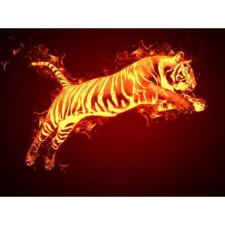 Fiery Tiger - DIY Painting By Numbers Kit