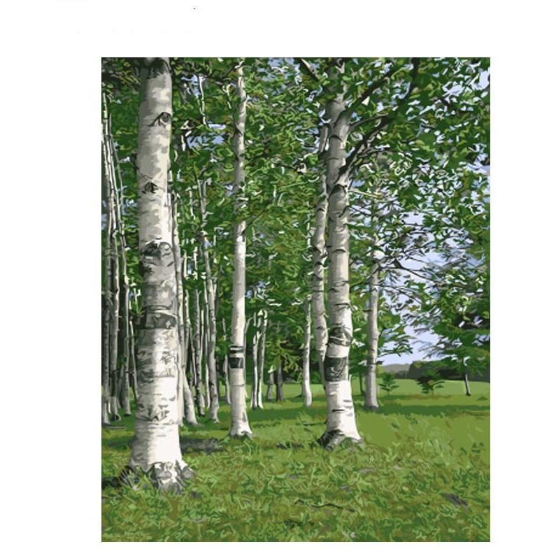 Trees on a Plain - DIY Painting By Numbers Kit