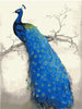 Beautiful Peacock - DIY Painting By Numbers Kit