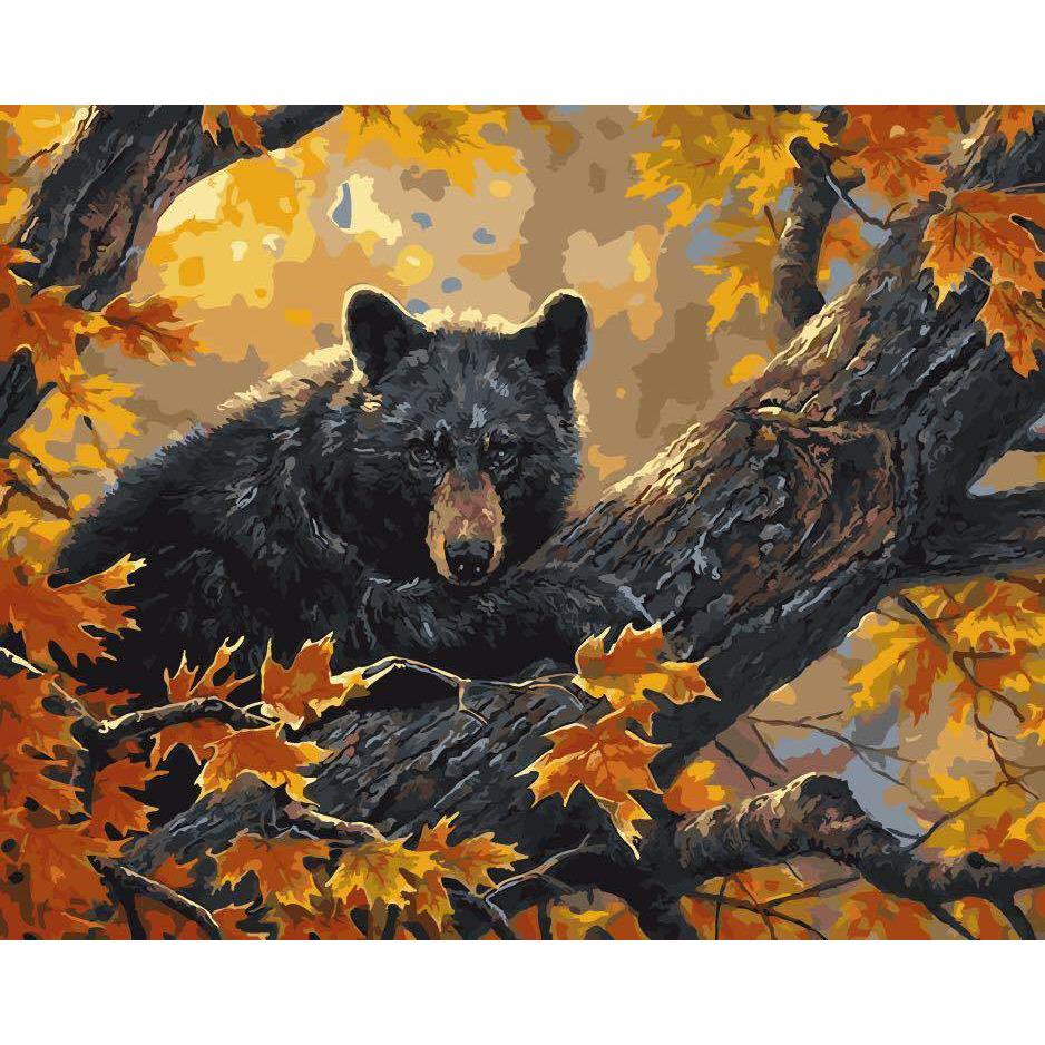 Bear's Stare - DIY Painting By Numbers Kit