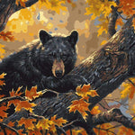 Black Bear - DIY Painting By Numbers Kit