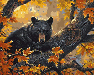 Black Bear - DIY Painting By Numbers Kit