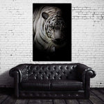 Black and White Tiger