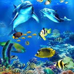 Marine Life - DIY Painting By Numbers Kit