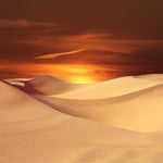 Sunset In Desert - DIY Painting By Numbers Kit