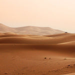 Sahara Desert - DIY Painting By Numbers Kit