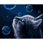 Cat With Bubbles - DIY Painting By Numbers Kit