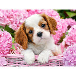 Cute Innocent Puppy - DIY Painting By Numbers Kits