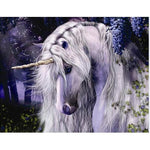 Unicorn Dreams - DIY Painting By Numbers Kits