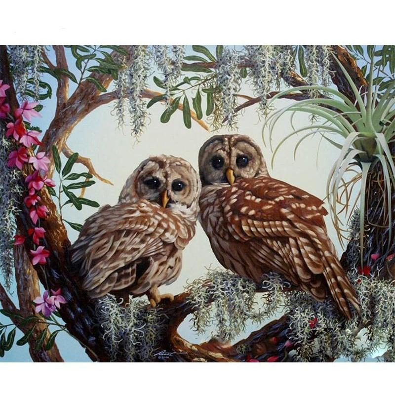 Owl Couple - DIY Painting By Numbers Kit