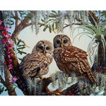 Cute Owls - DIY Painting By Numbers Kit