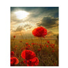 Red Flowers Field - DIY Painting By Numbers Kit