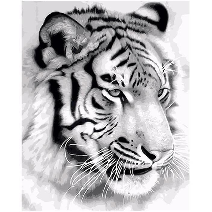 Tiger Sketch - DIY Painting By Numbers Kit