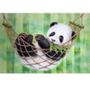 Baby Panda - DIY Painting By Numbers Kit