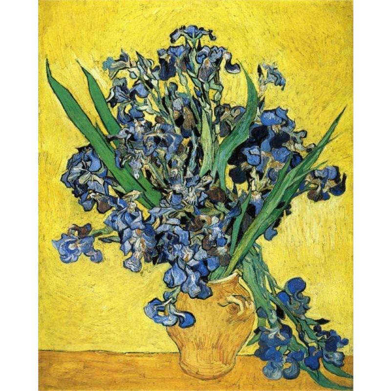 Vincent van Gogh - Still Life with Irises - DIY Painting By Numbers Kit