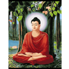 Saint Buddha - DIY Painting By Numbers Kit