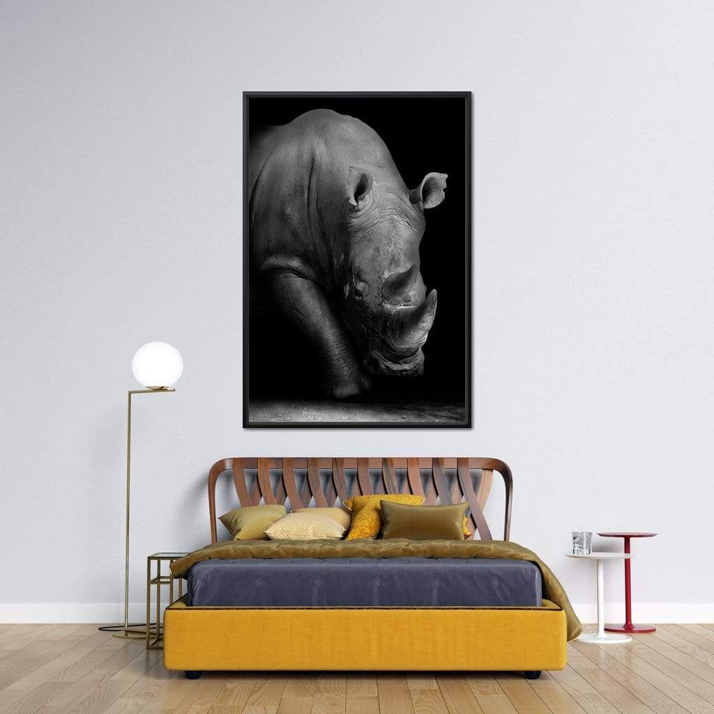 Black and White Rhino