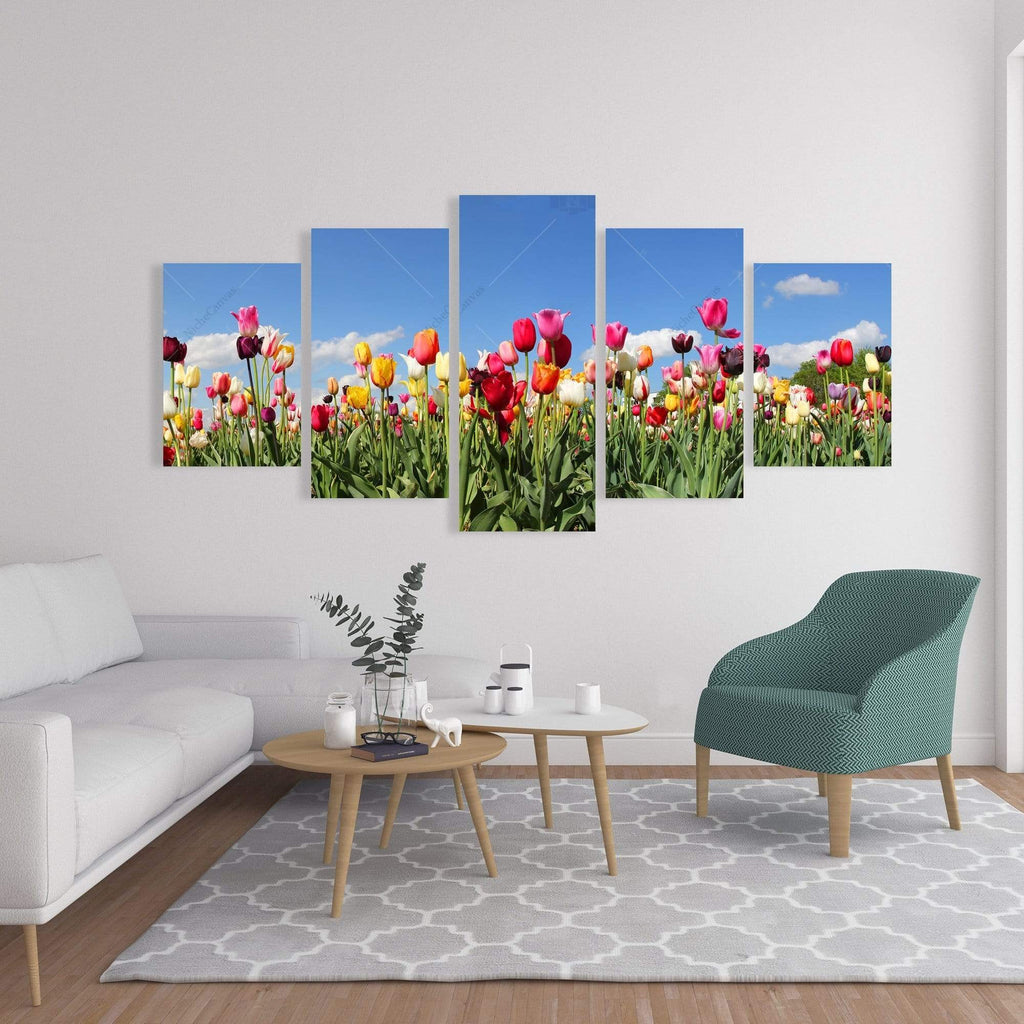 Colored Tulips