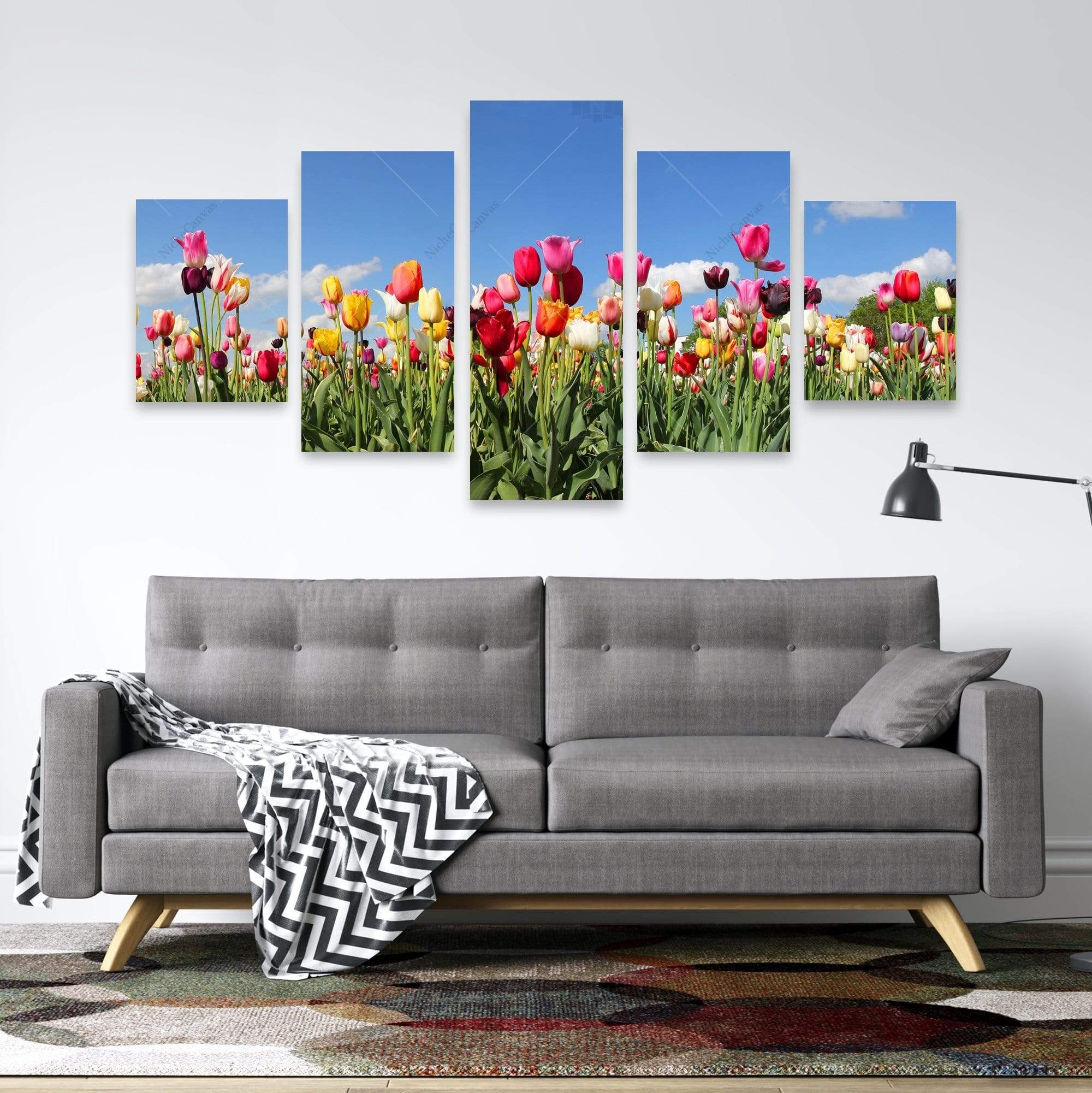 Colored Tulips