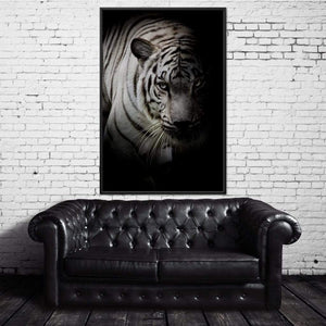 Black and White Tiger