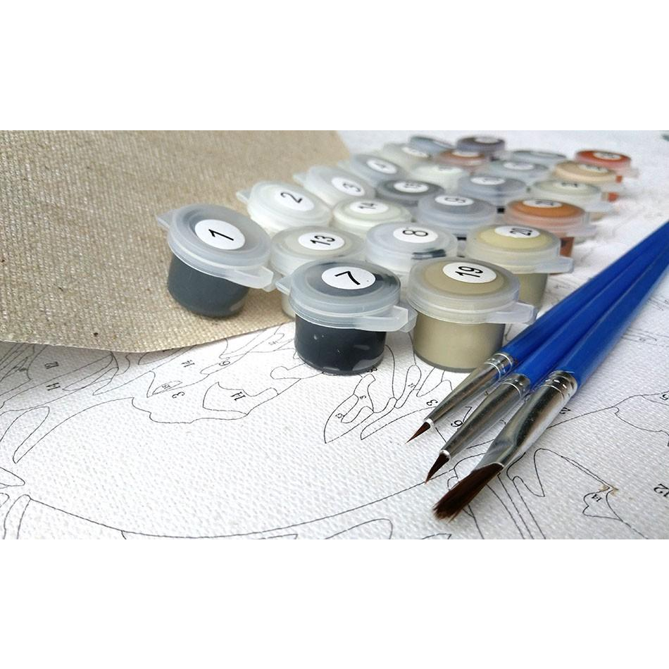 Colorful Lakeshore Village - DIY Painting By Numbers Kits