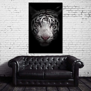 Black and White Bengal Tiger