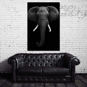 Black and White Elephant face