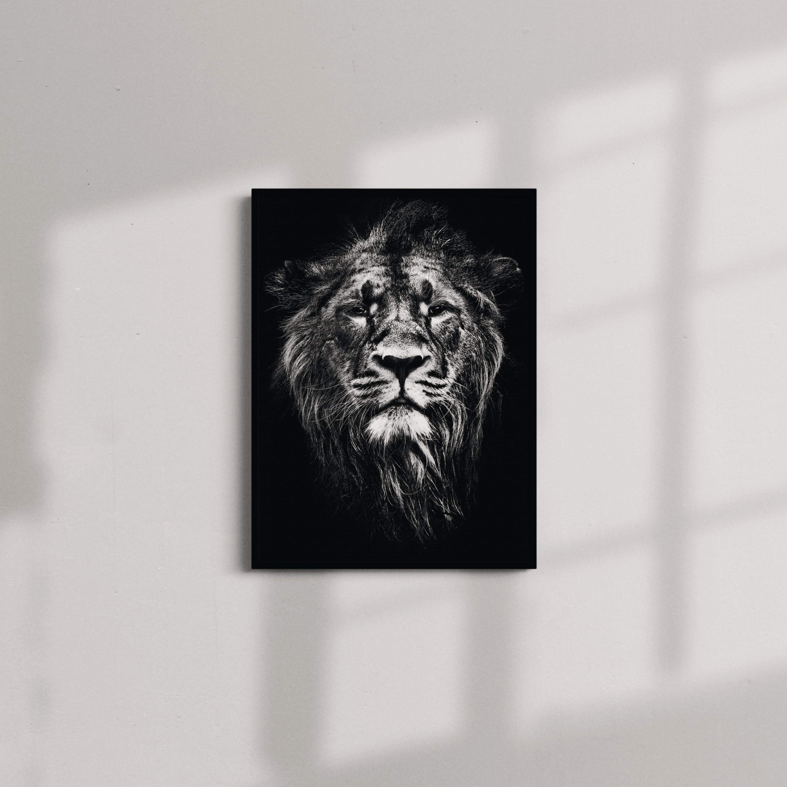 Black and White Lion Portrait