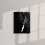 Black and White Elephant Close up