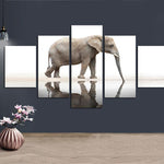 Elephant Reflection